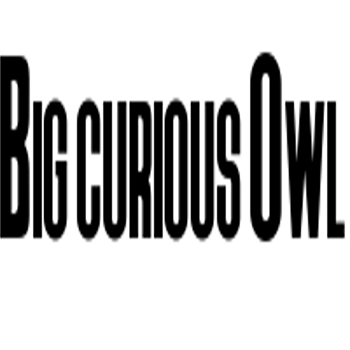 Big Curious Owl